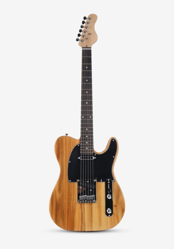 sycamore body 22-fret TL electric guitar
