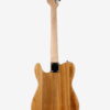 sycamore body 22-fret TL electric guitar