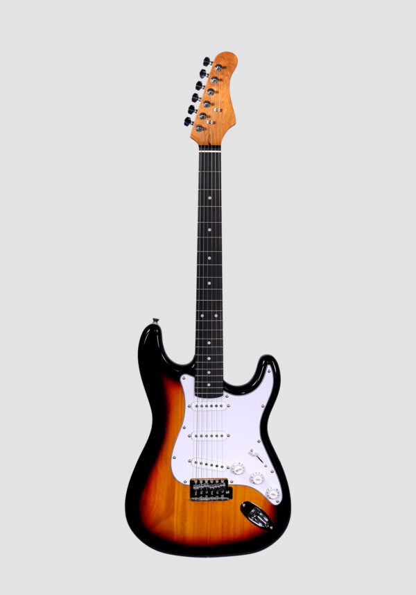 ST Electric Guitar