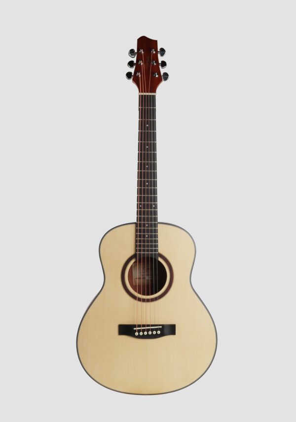 Mid-range acoustic guitar