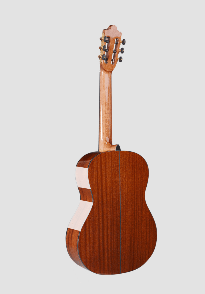 Rear view of another classical guitar catalogue model