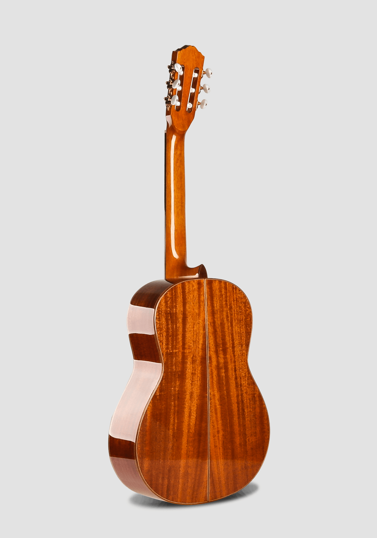 Back view of a classical guitar OEM sample showing wood grain and binding