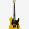 sycamore body 22-fret TL electric guitar