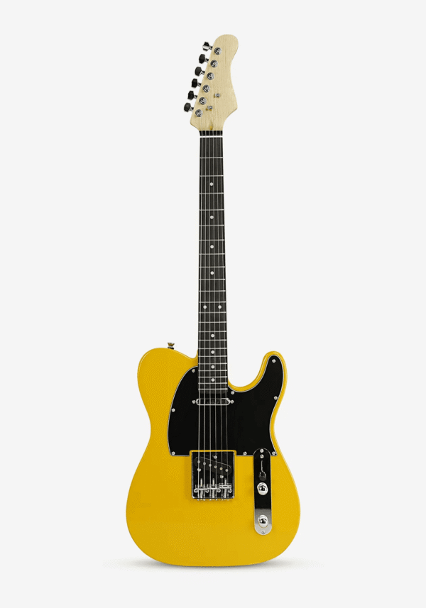 sycamore body 22-fret TL electric guitar