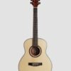 Mid-range acoustic guitar