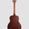 Mid-range acoustic guitar